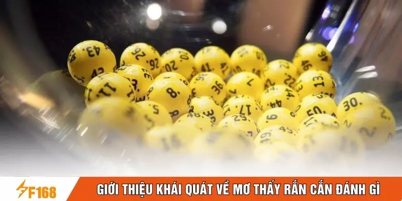 Giới thiệu khái quát về mơ thấy rắn cắn đánh gì